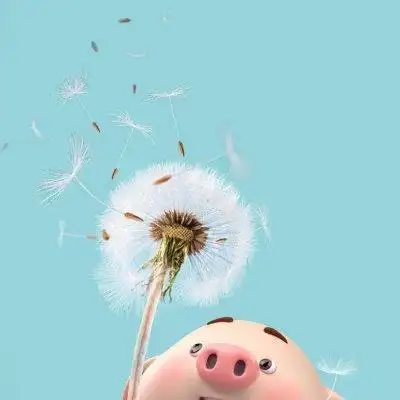 2020猪年微信头像卡通猪头像呆萌高清无水印12