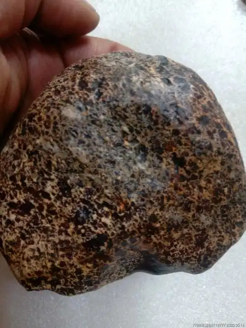 火星橄榄级天宝石陨石