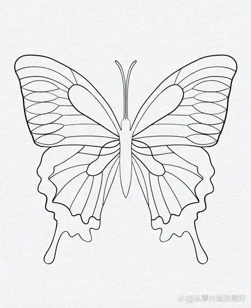 黑白装饰画 i 对称画法  风可以吹起一大张白纸,却无法吹走一只蝴蝶