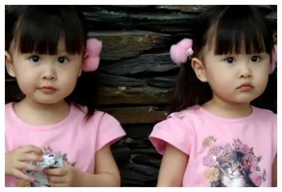 张杰谢娜的双胞胎女儿都是单眼皮网友太萌了傻傻分不清