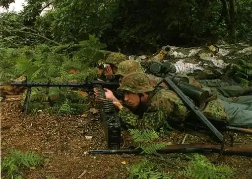 独特的迷彩系列-德军迷彩