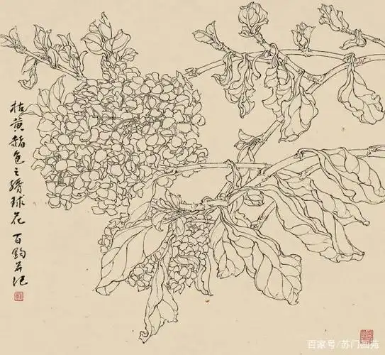 《绣球》苏百钧