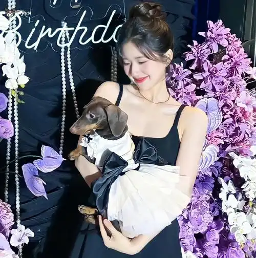 人间理想赵露思  #赵露思头像  #赵露思的可露丽  #赵露思的照片