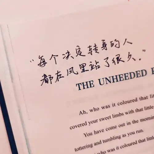 的路上总是爱意弥漫[彩虹r]希望我们都能像对方一样勇敢——《撒野》