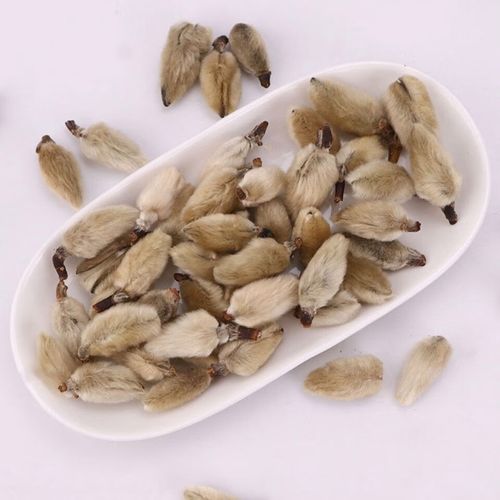 北京同仁堂原料辛夷花中药正宗辛夷花炎鼻辛夷花泡水野生感昌辛夷花