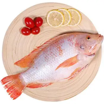 仙泉湖国产三去星洲红鱼净膛500600g彩虹鲷鱼cnas认证烧烤食材海鲜