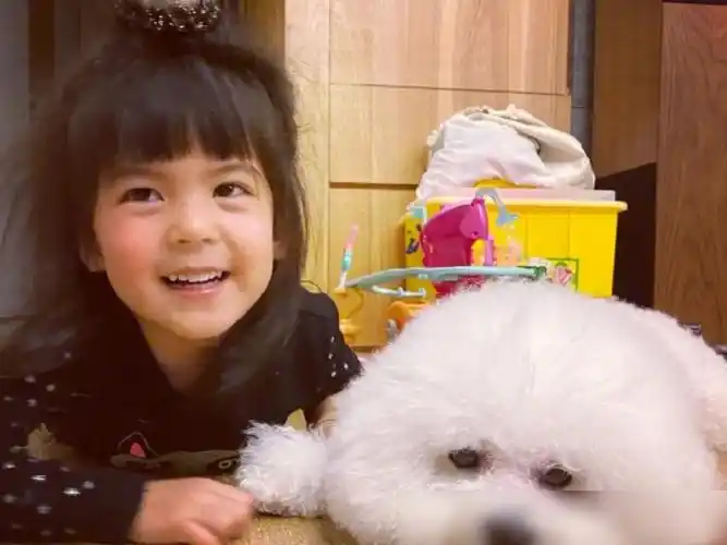 都知道修允菲遗传妈妈的美已经够了,当妹妹照片曝光,上天偏心了!