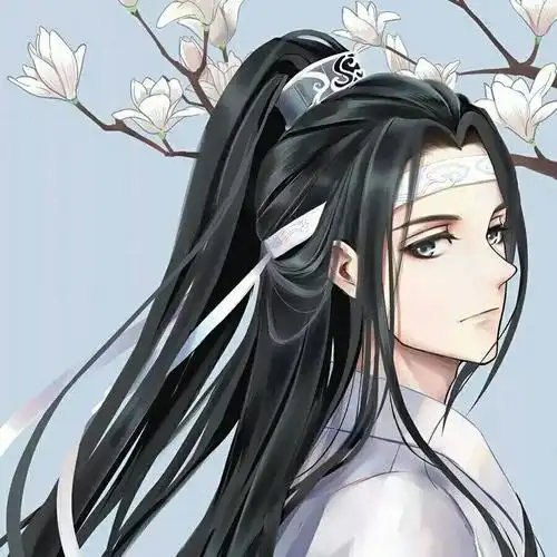 魔道祖师系列头像,魏无羡x蓝忘机头像#魔道.