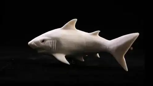 鲨鱼--周毅食品雕刻基础视频