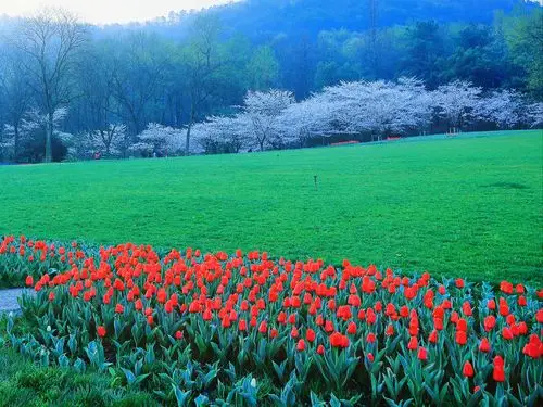 杭州太子湾唯美风景桌面壁纸