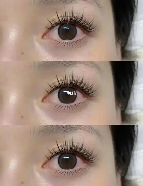 太阳花款77下睫毛