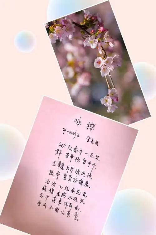 樱花,少年与诗