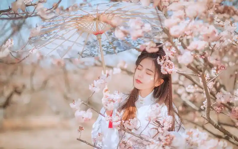 清新唯美古装美女写真桌面壁纸