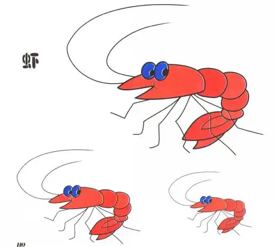 虾的儿童卡通画
