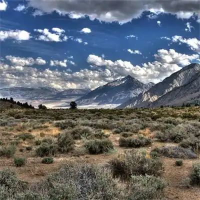 特别好看也很真实的风景头像 绿色森系微信头像比较合适的风景_风景