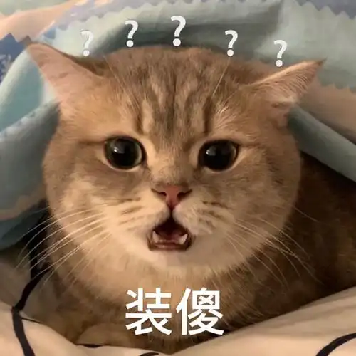 萌宠喵星人装傻不懂搞怪逗gif动图_动态图_表情包下载_soogif