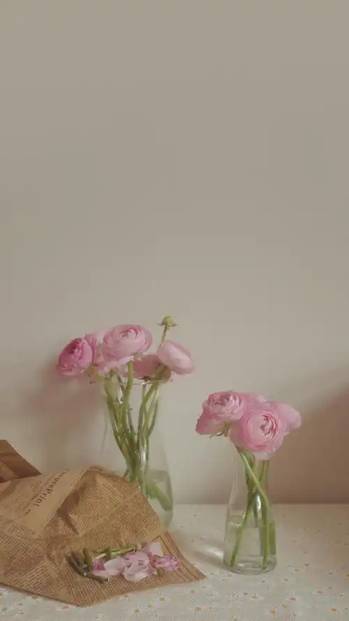 ins风简约温柔生活随景手机壁纸 第一辑