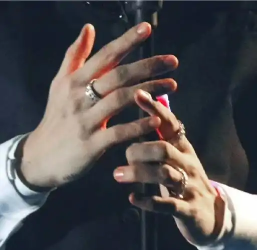 这个手010101#蔡徐坤