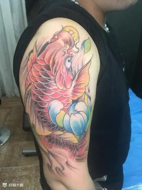 招财鲤鱼_纹身图案手稿图片_陈浩松的纹身作品集