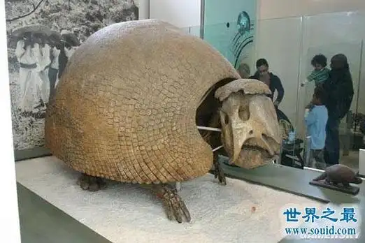 史前一亿年十大已灭绝的恐怖生物,人类根本无法生存