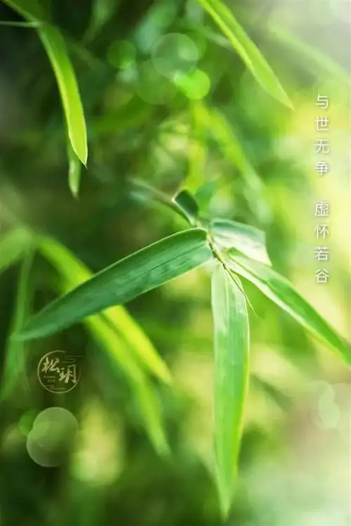 朝夕| 与世无争 虚怀若谷