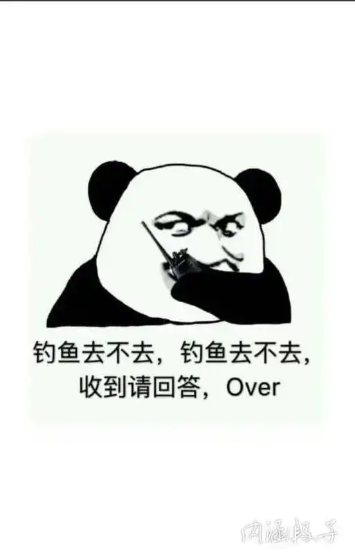 一钓鱼就"空军"鱼饵钱都赔进去了……0303 - 抖音