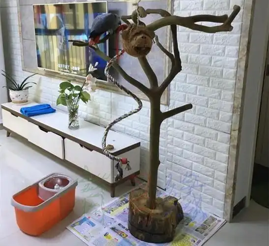 萌萌哒鸟架站杠育鸟缘鹦鹉游戏架简单鸟架八哥鹩哥站架树枝鸟架站杆站