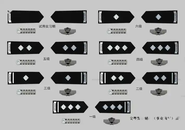 这款辅警衔太漂亮了警察肩章