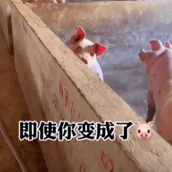 可爱沙雕表情包:有一说一,确实馋了