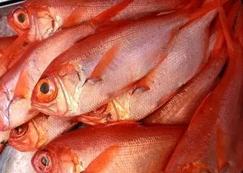 我有一个亲戚送了我一条全身红色的鱼,请问是什么品种,怎么做更好吃