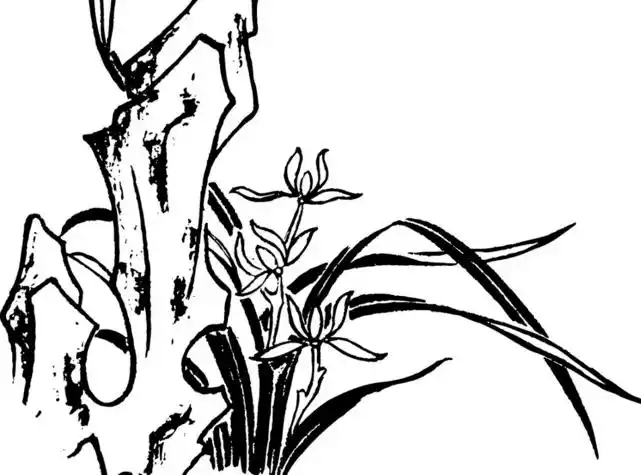 兰花简笔画图片带颜色 兰花简笔画图片带颜色画法
