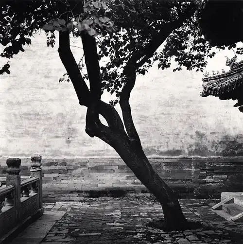 michaelkenna黑白风景摄影