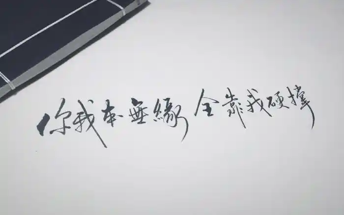 你我本无缘全靠我硬撑