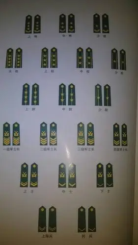 谁有士兵等级制度的图片?