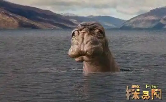 神秘生物肯伟岛水怪真实面目疑是鮟鱇鱼图片2