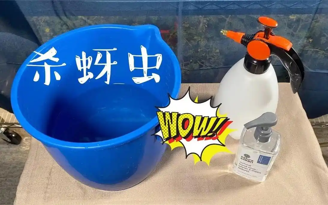 自制蚜虫杀虫剂纯天然无害的配方