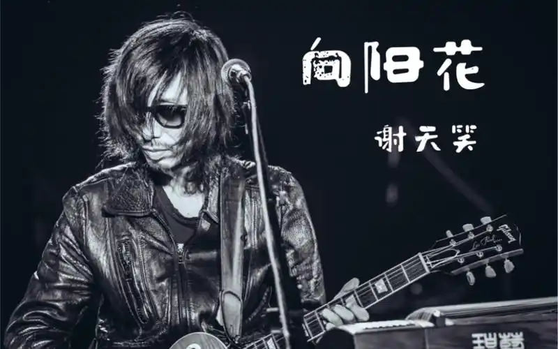 「谢天笑」向阳花|降噪 61 不插电live