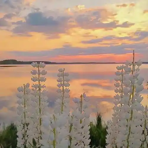 抬眼便是浪漫日落尤其温柔(>v )夕阳背景图cr.