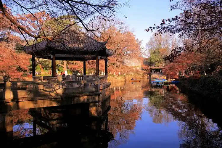 秋天的虞山公园 - 摄影俱乐部 - 常熟零距离论坛