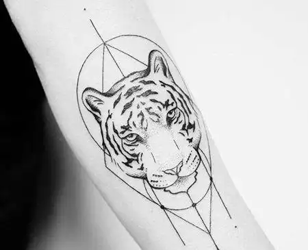 点刺几何小臂老虎纹身图案