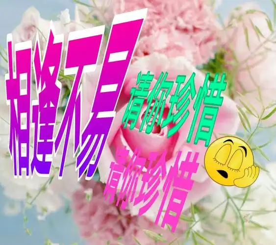 相逢不易请你珍惜这几个字的图片