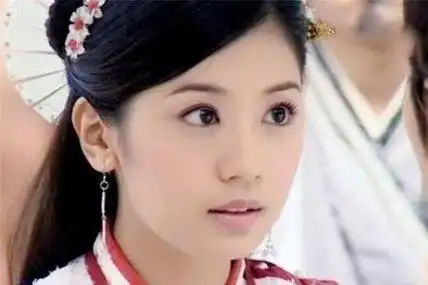 张庭和贾静雯有什么区别