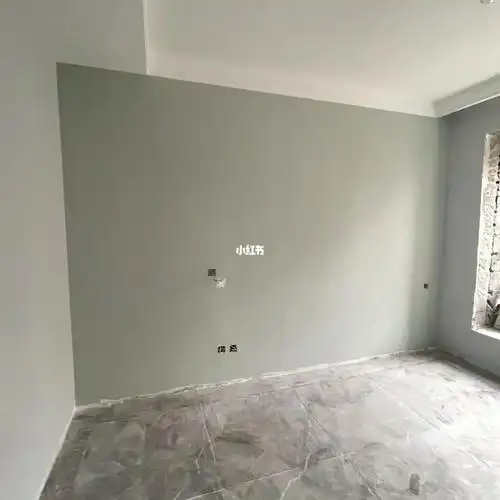 装修日记08多乐士网红乳胶漆