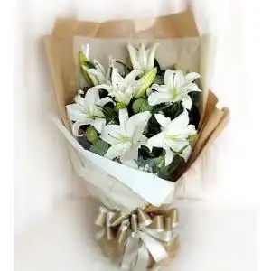 请帮我找一束白百合的图片