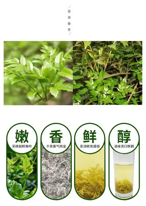 西萃御品湖北恩施富硒藤茶来凤长寿茶龙须芽尖养生茶非张家界莓茶