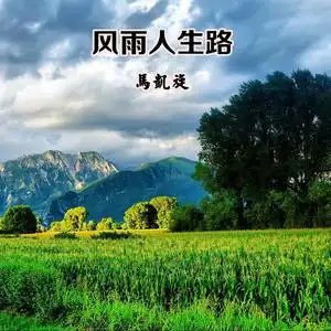 风雨人生路