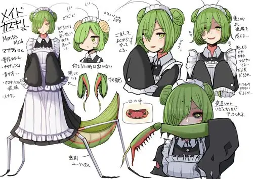 p站很火的昆虫娘