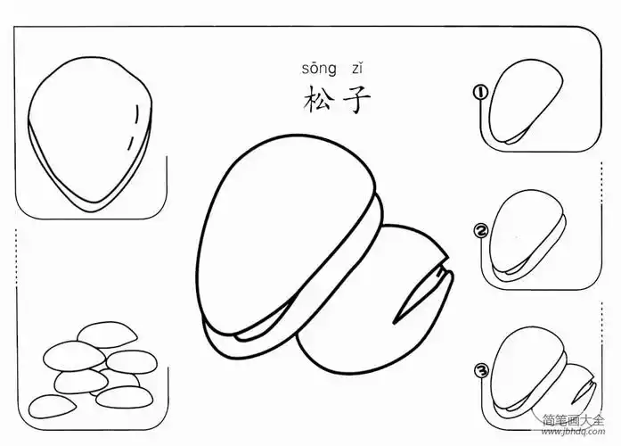 松子怎么画_食品简笔画-简笔画大全