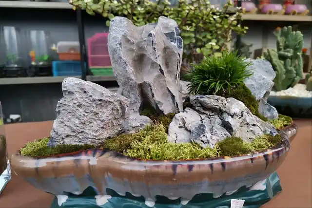 家庭版制作"小型山石盆景教程",新手也能做出来