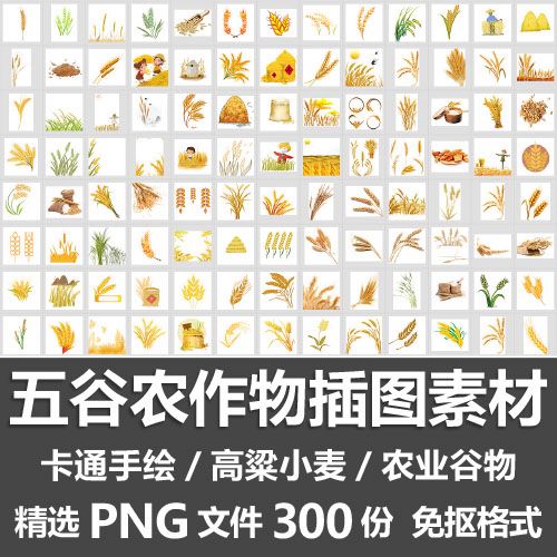 五谷农作物插图素材 卡通手绘高粱小麦水稻穗农田粮食png免抠素材